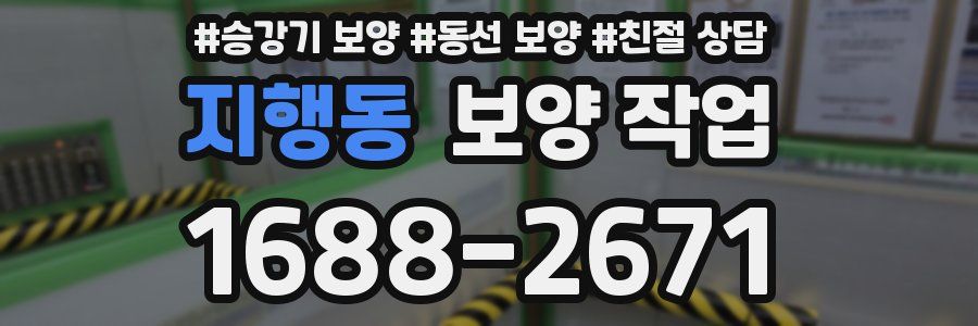 지행동 보양 작업