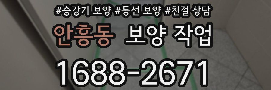 안흥동 보양 작업