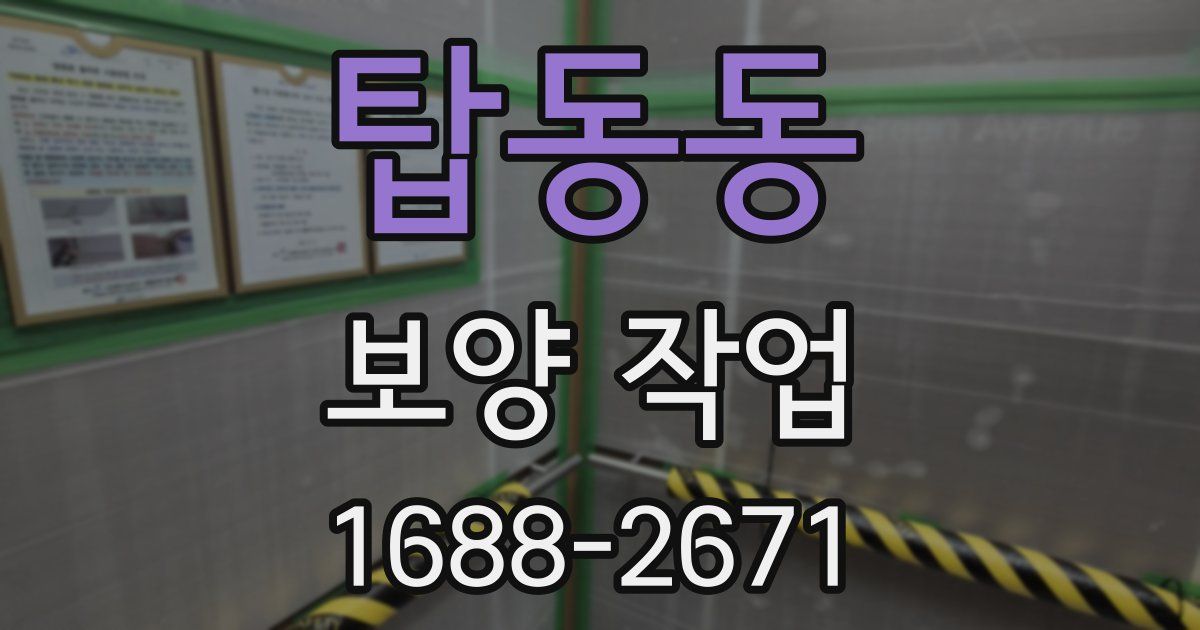 탑동동 보양 작업