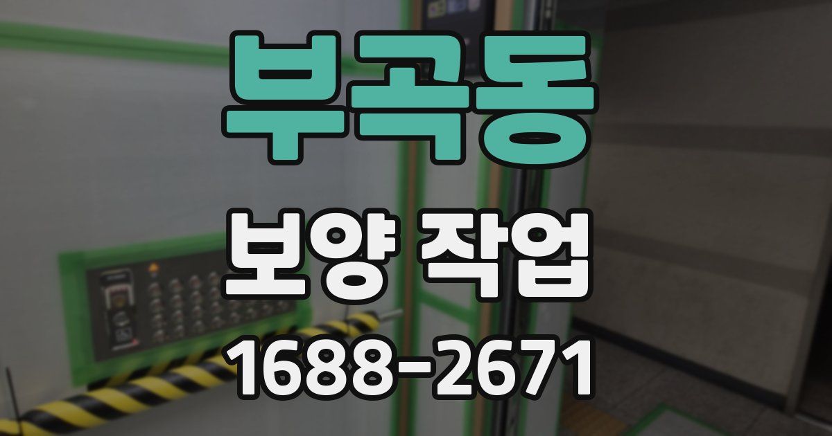 부곡동 보양 작업