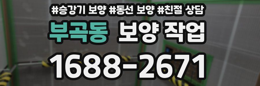 부곡동 보양 작업