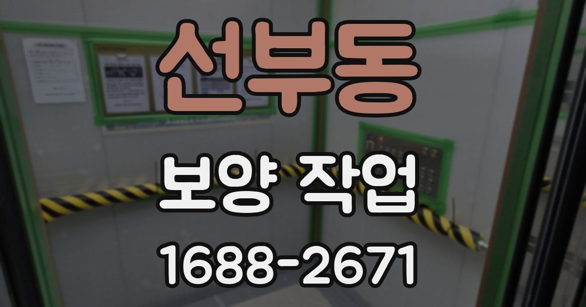 선부동 보양 작업