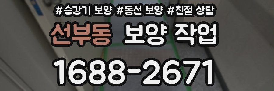 선부동 보양 작업