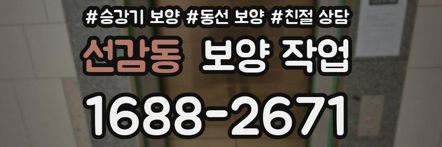선감동 보양 작업