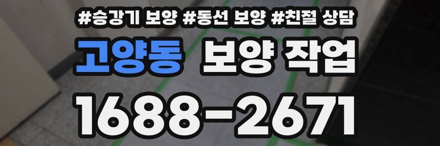 고양동 보양 작업