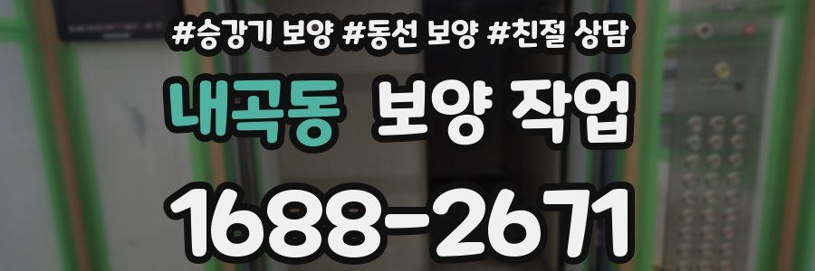 내곡동 보양 작업