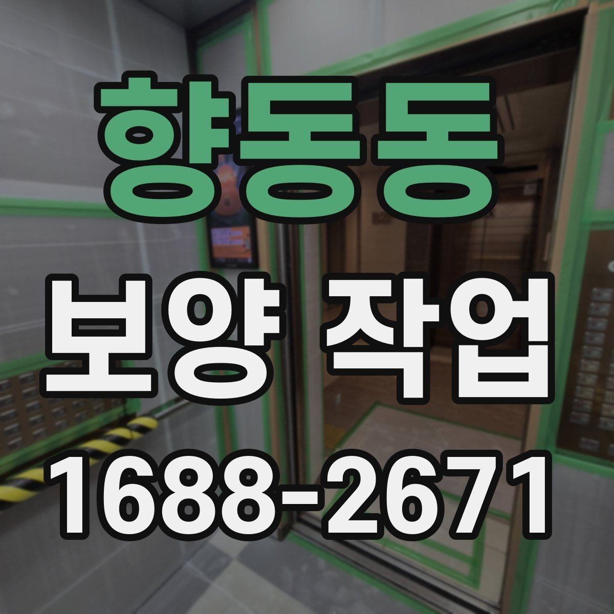 향동동 보양 작업 전후로 달라지는 관리 포인트