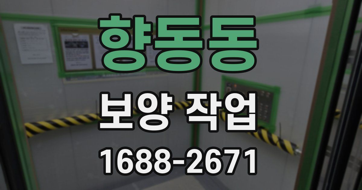 향동동 보양 작업