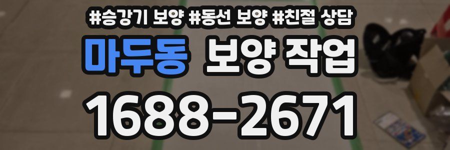 마두동 보양 작업
