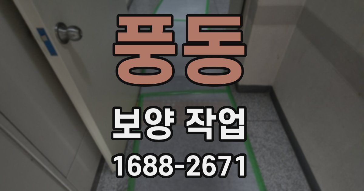 풍동 보양 작업