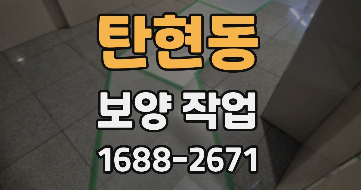 탄현동 보양 작업