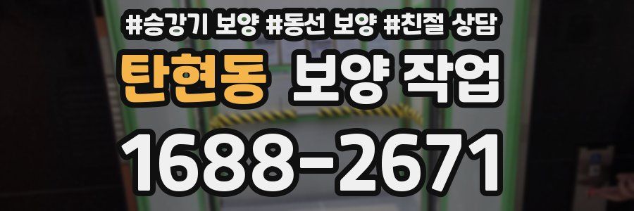 탄현동 보양 작업