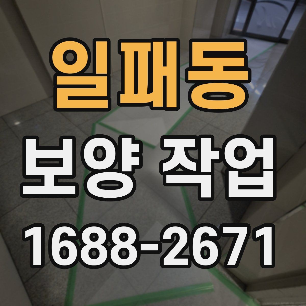 일패동 보양 작업 비용과 진행 전 확인할 점