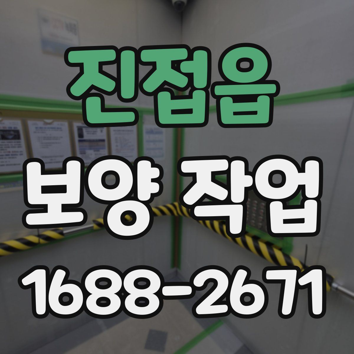 진접읍 보양 작업