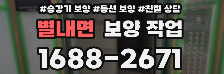 별내면 보양 작업