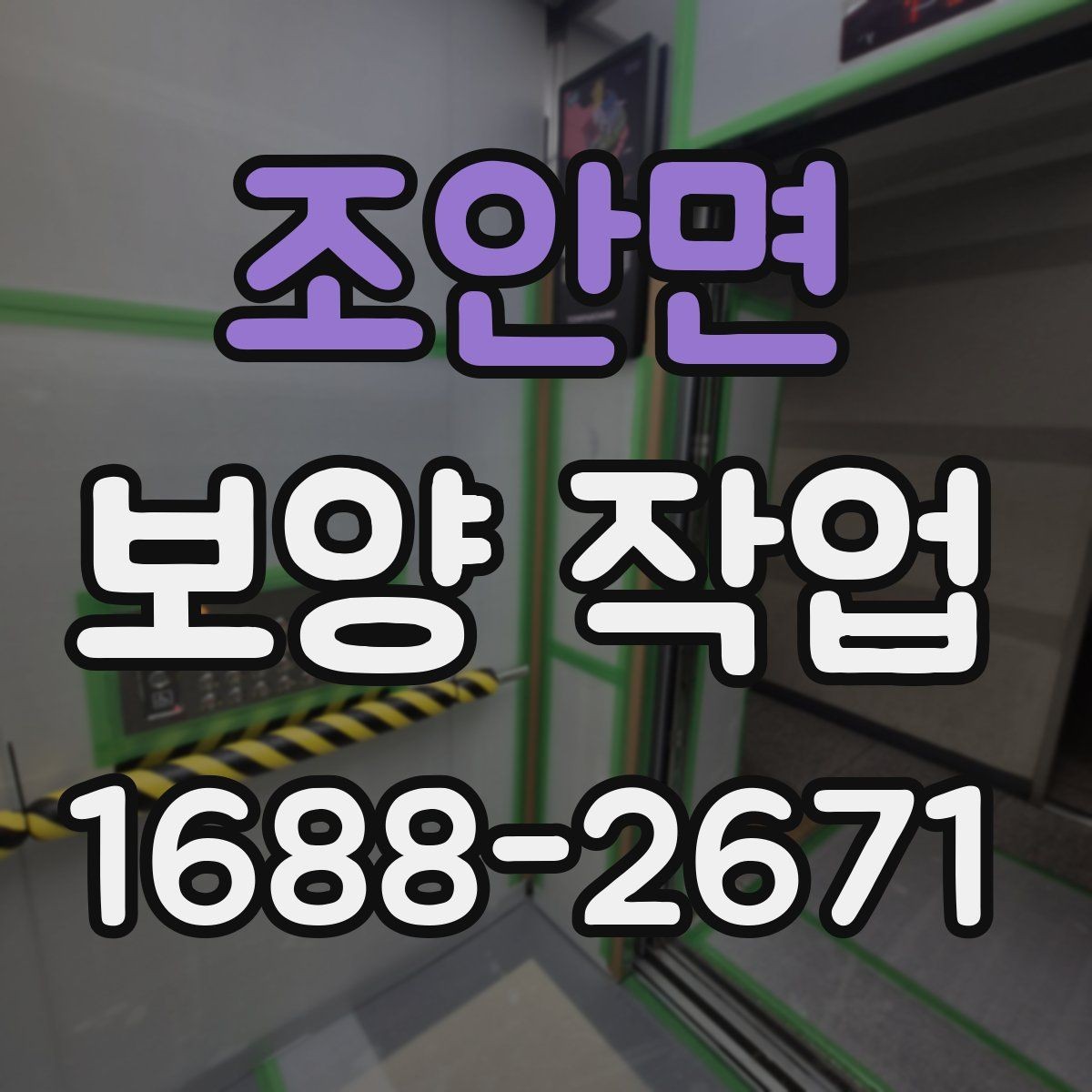 조안면 보양 작업 비용 확인 시 자주 보는 항목