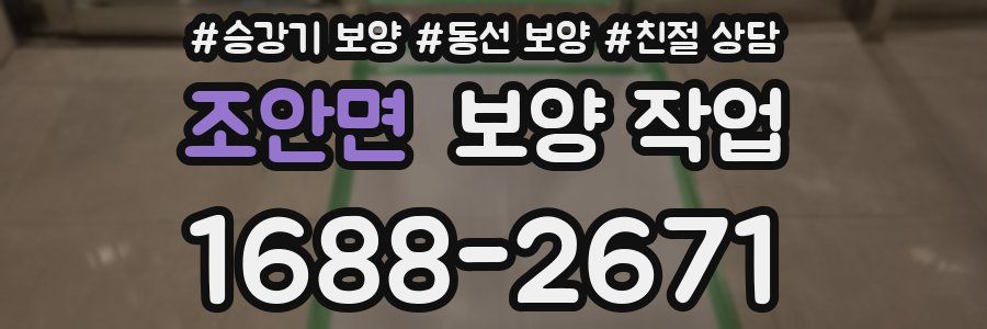 조안면 보양 작업