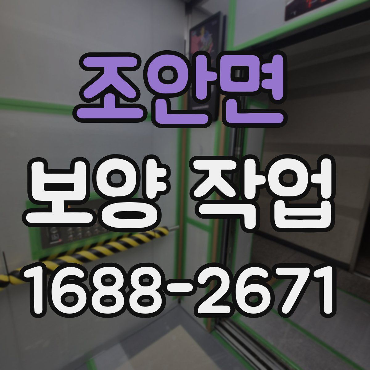 조안면 보양 작업