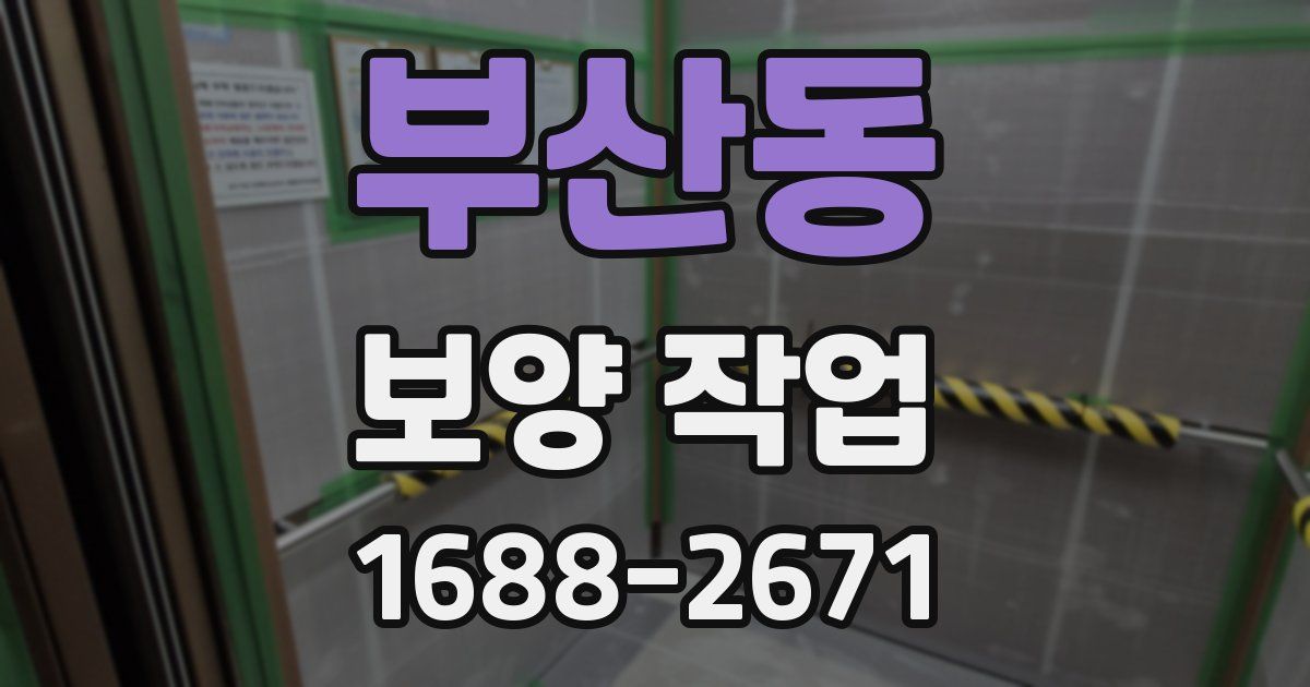 부산동 보양 작업