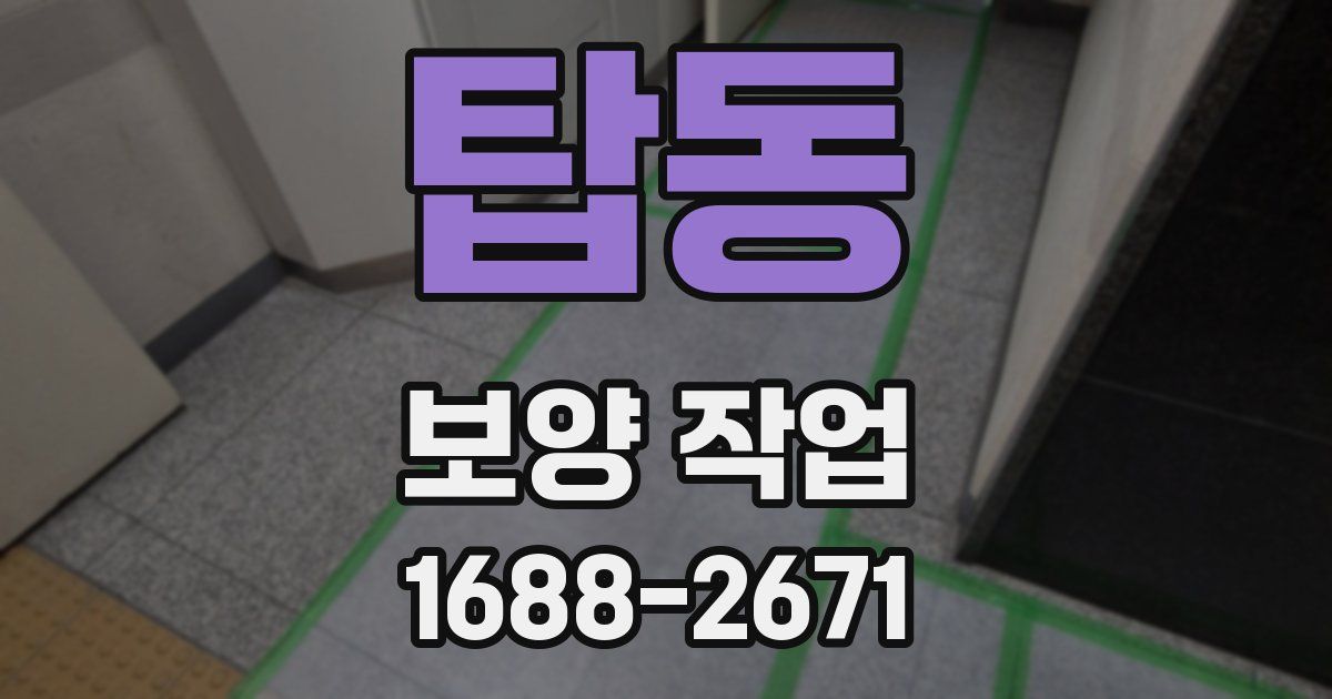 탑동 보양 작업