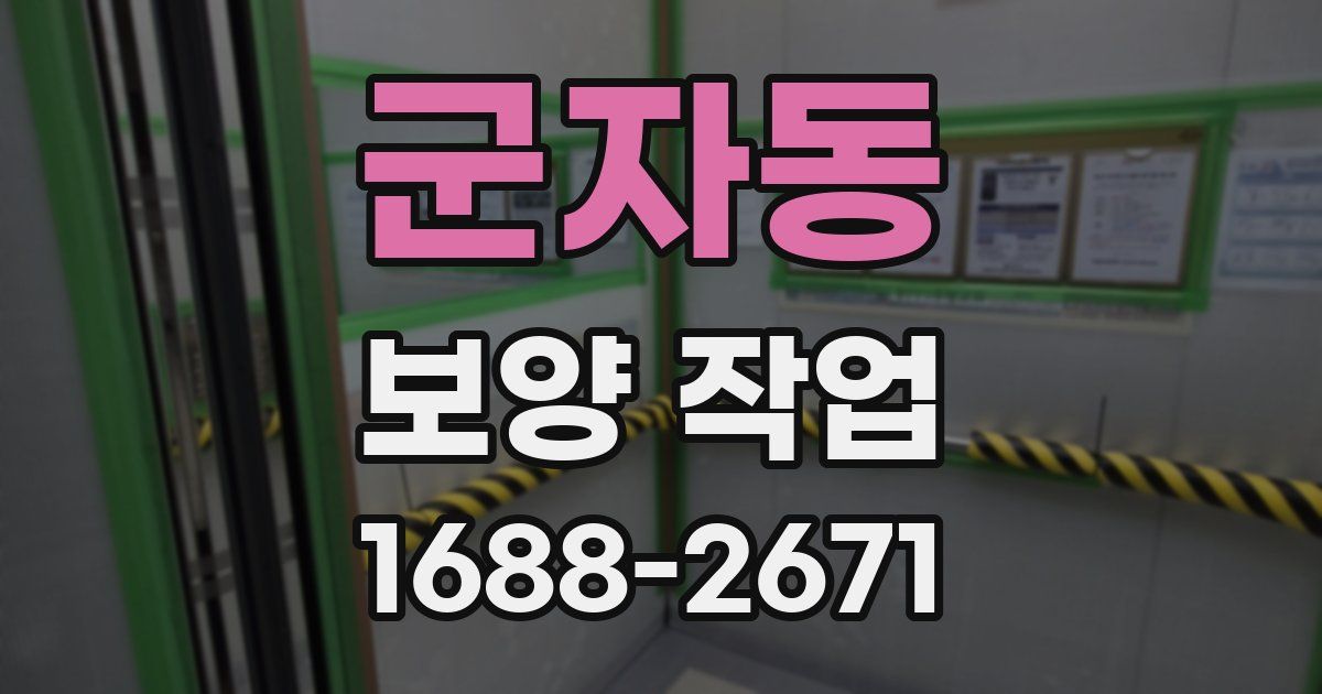 군자동 보양 작업