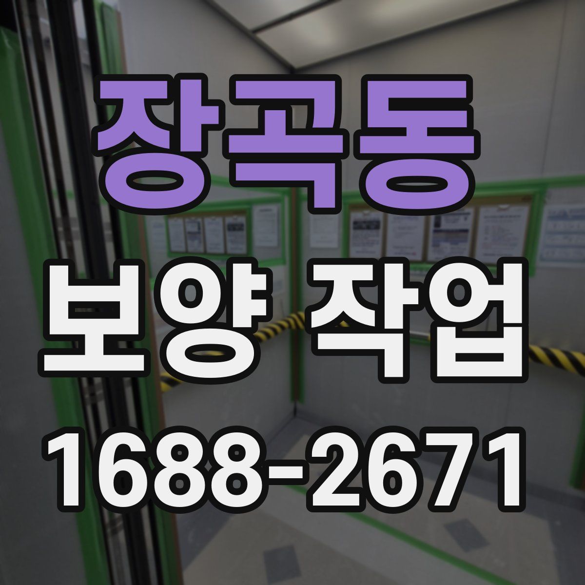 장곡동 보양 작업