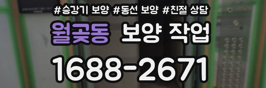 월곶동 보양 작업