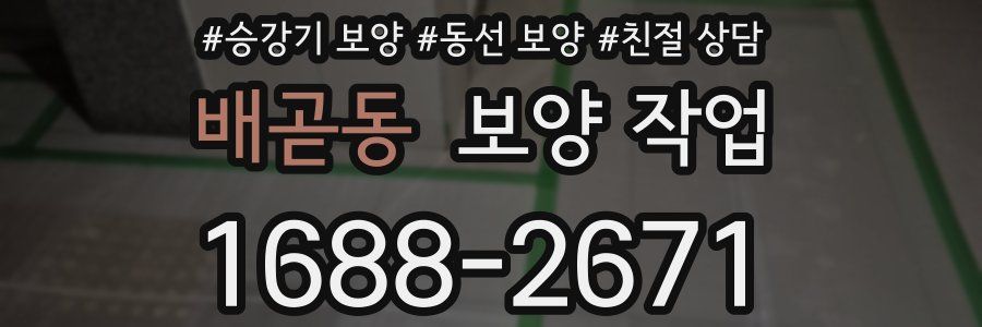 배곧동 보양 작업