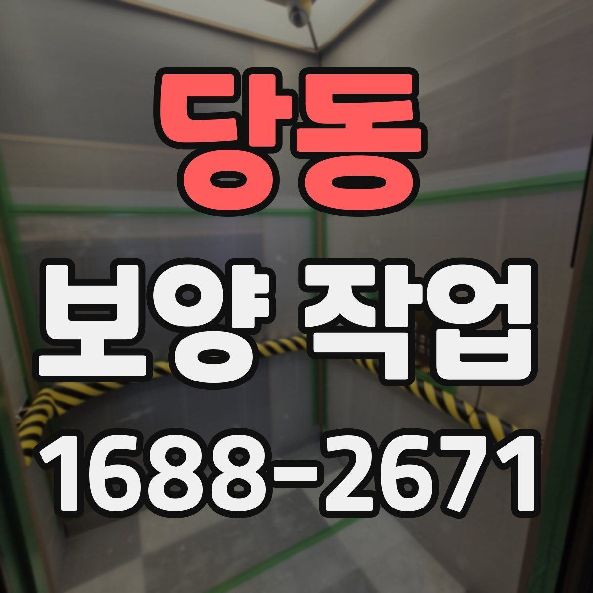 당동 보양 작업 비용과 진행 과정 알아보기