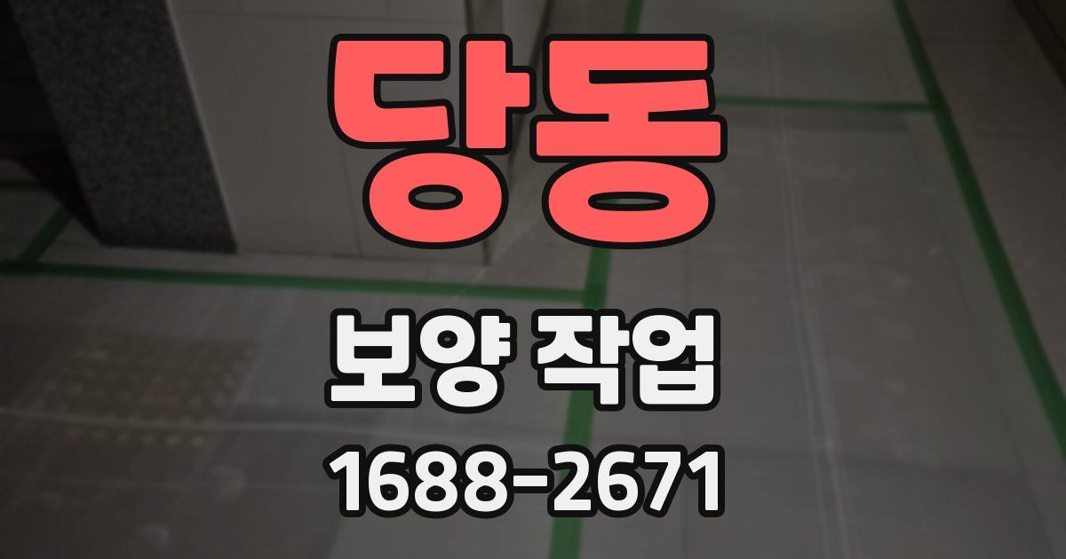 당동 보양 작업