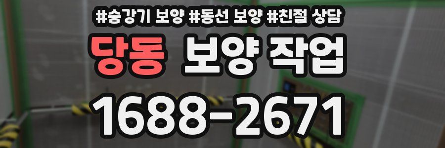 당동 보양 작업