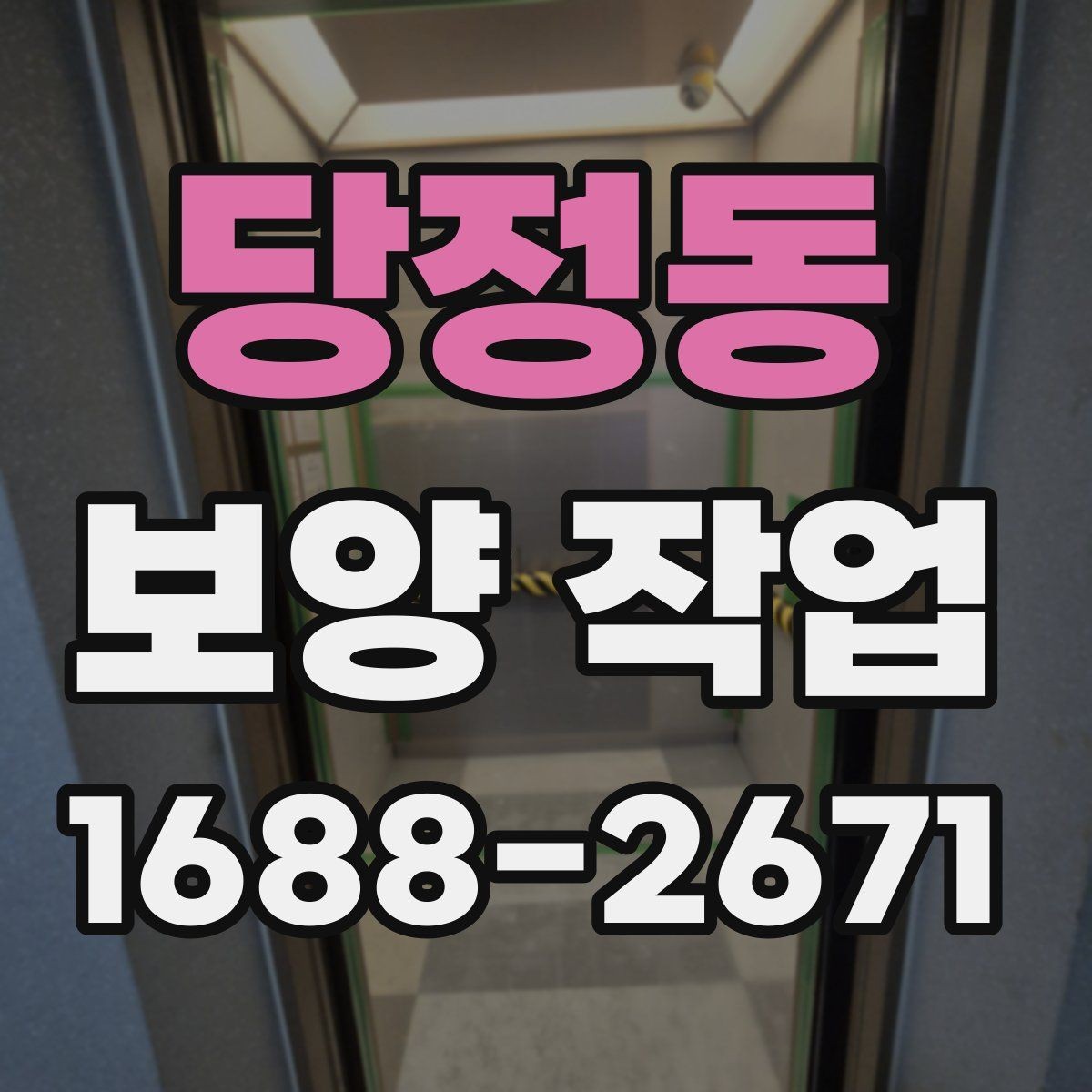 당정동 보양 작업 시 확인할 사항과 관리 방법