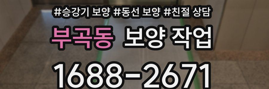 부곡동 보양 작업