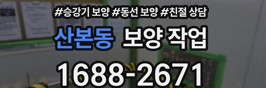 산본동 보양 작업