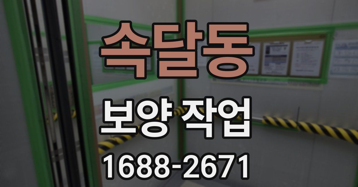 속달동 보양 작업