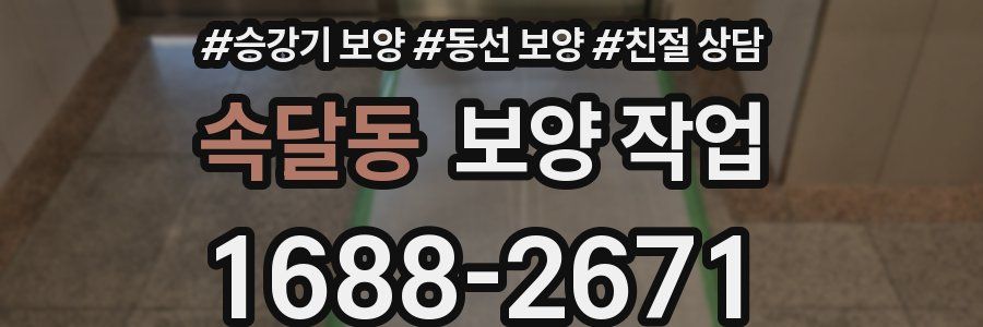 속달동 보양 작업
