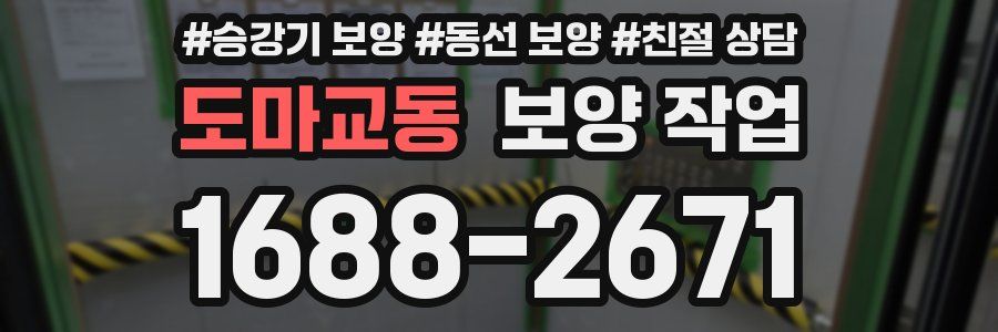 도마교동 보양 작업