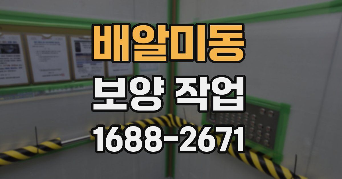 배알미동 보양 작업