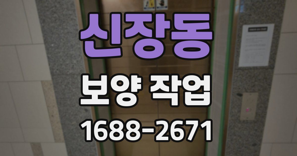 신장동 보양 작업