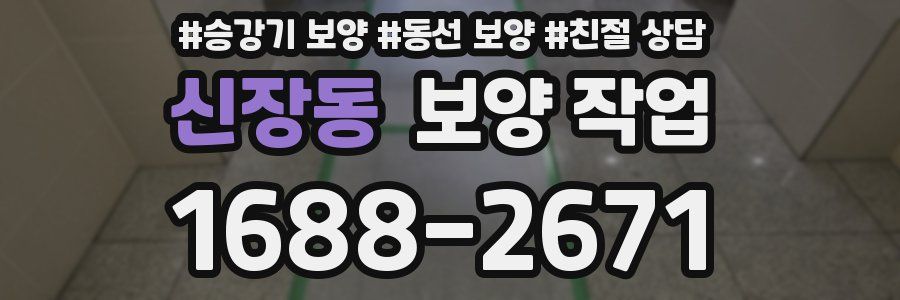 신장동 보양 작업