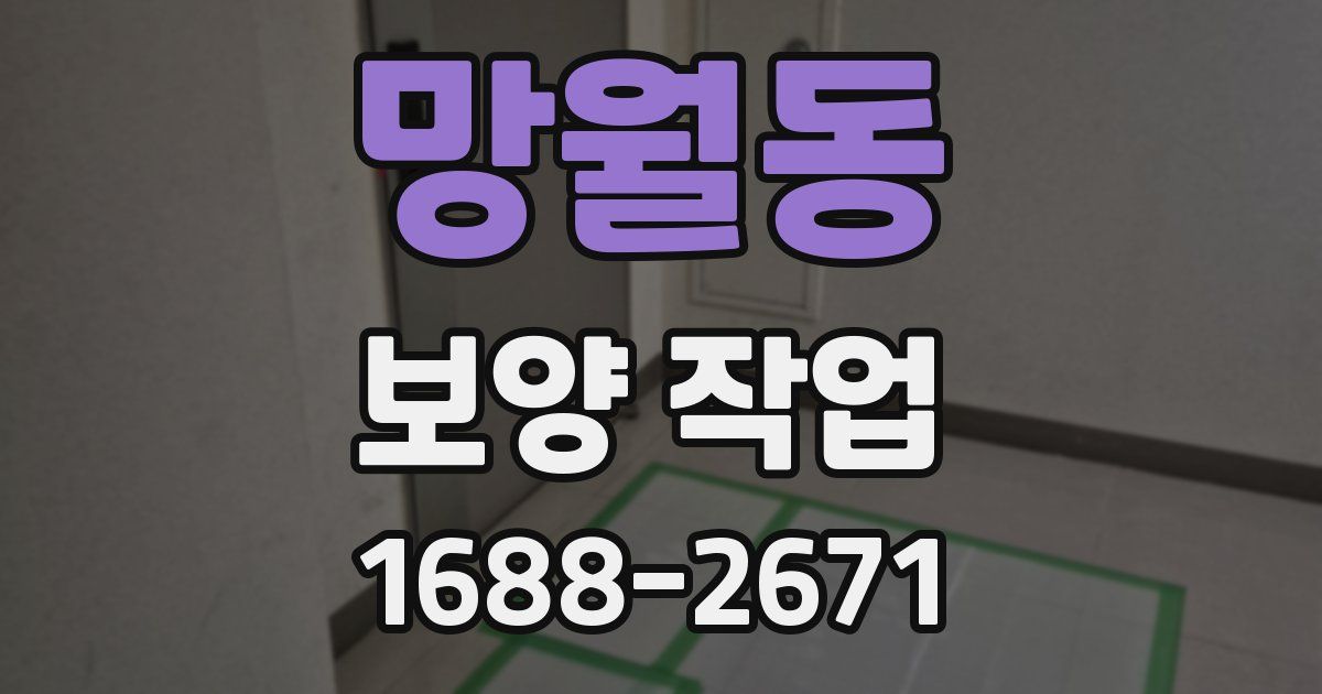 망월동 보양 작업
