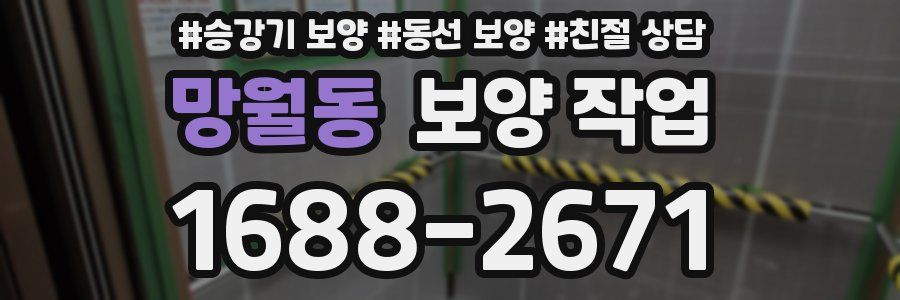 망월동 보양 작업