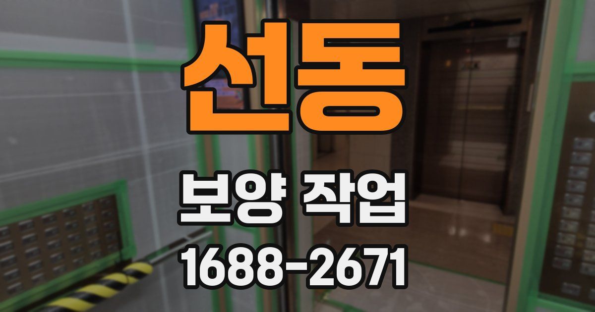 선동 보양 작업