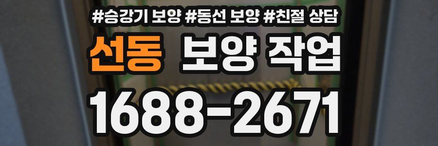 선동 보양 작업