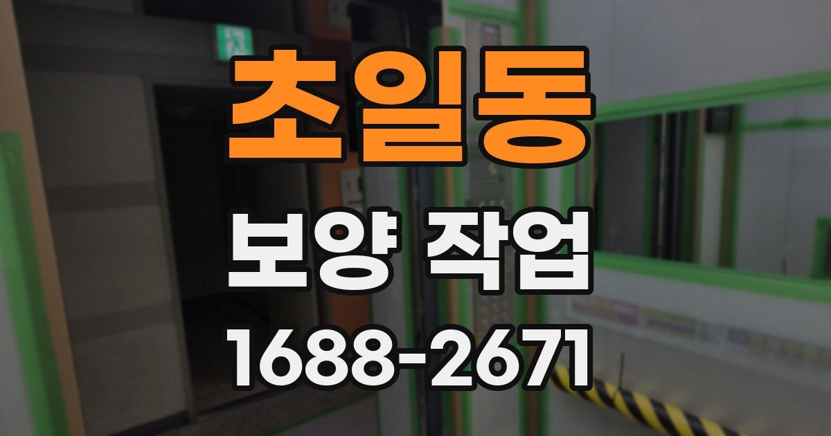 초일동 보양 작업