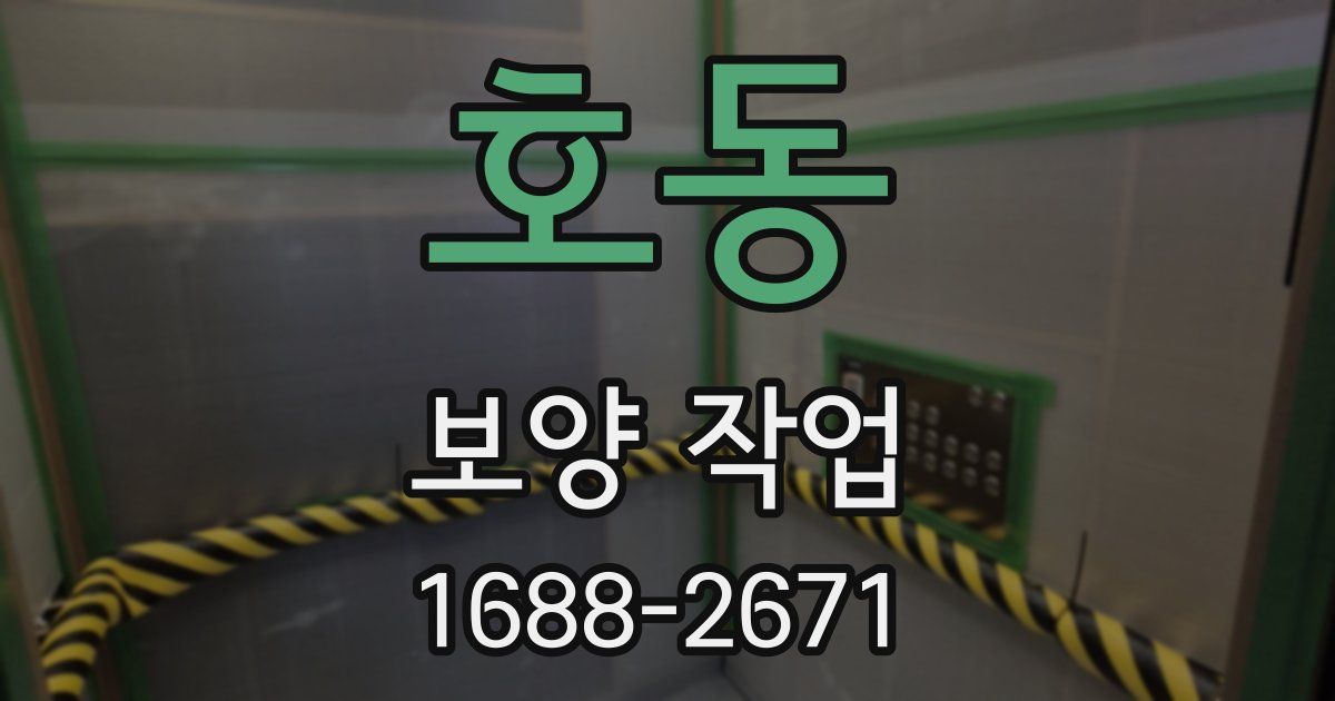 호동 보양 작업