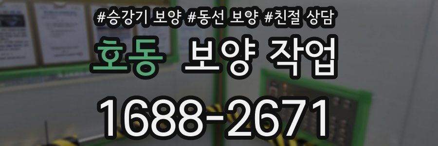 호동 보양 작업