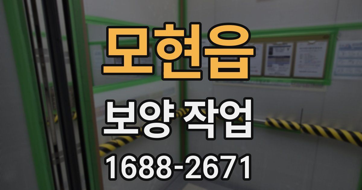 모현읍 보양 작업