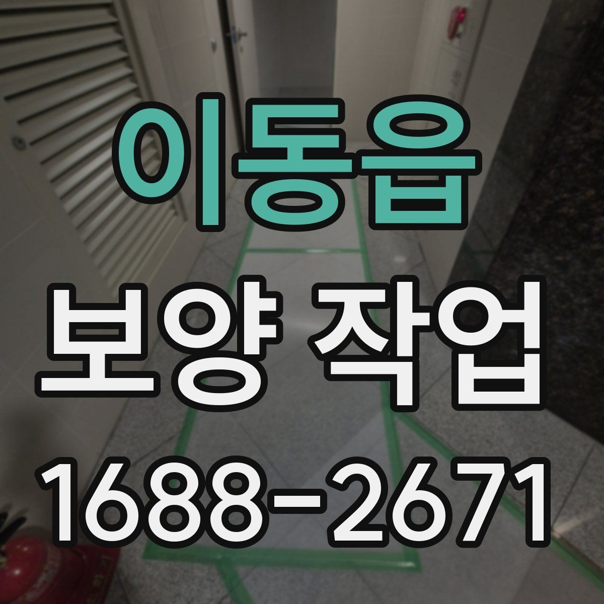 이동읍 보양 작업 진행 방식과 주의사항