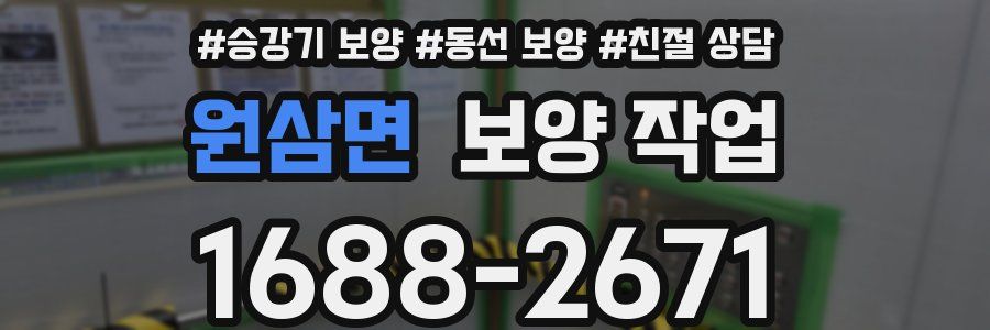 원삼면 보양 작업